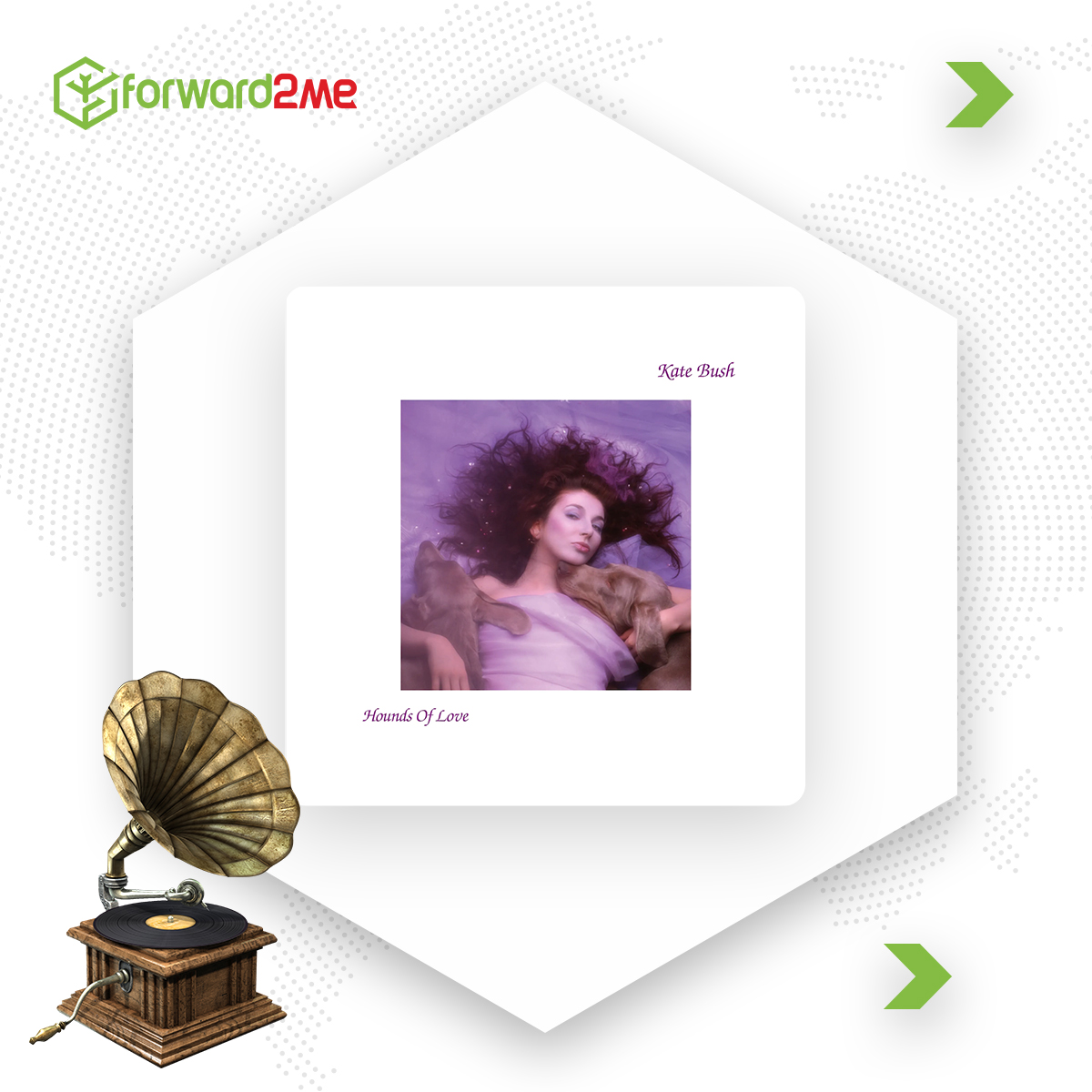 The Hounds of Love by Kate Bush Vinyl